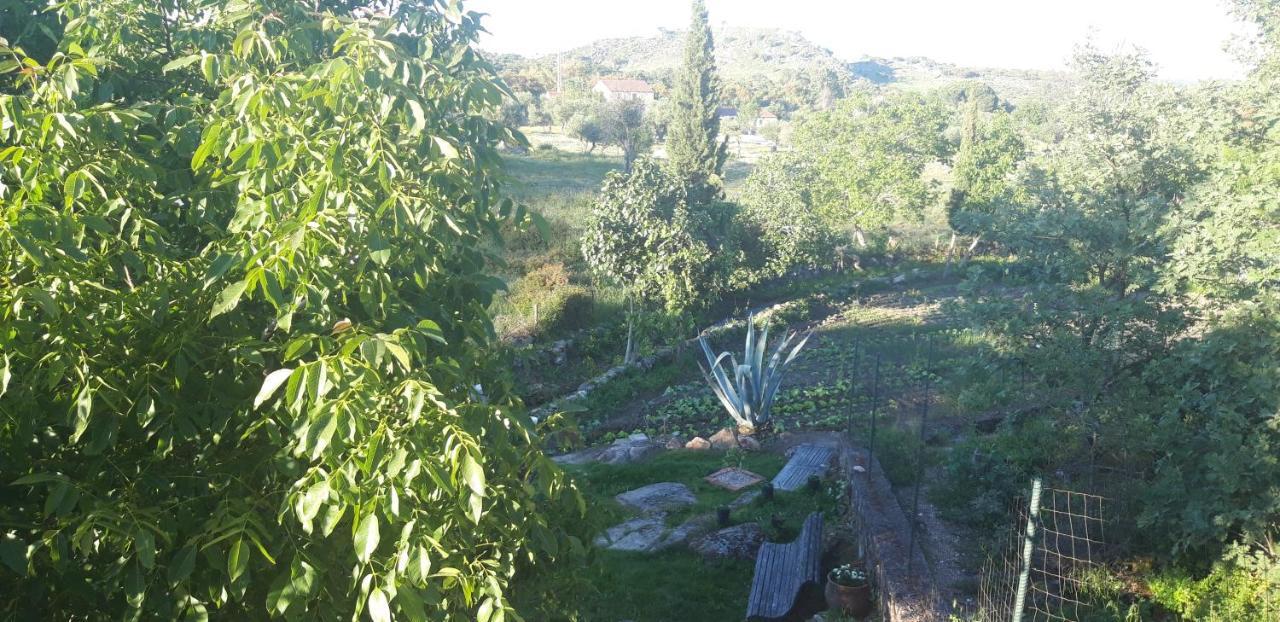 Santo António das Areias Casa Da Vizinha, Quinta Das Memorias מראה חיצוני תמונה