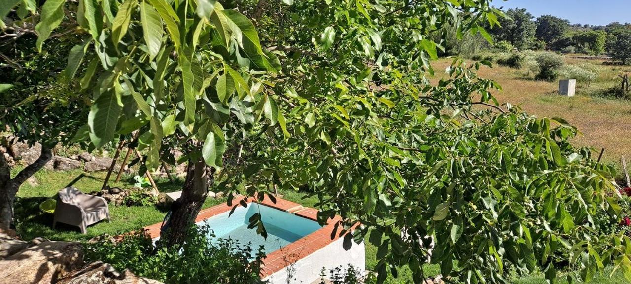 Santo António das Areias Casa Da Vizinha, Quinta Das Memorias מראה חיצוני תמונה